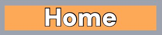 home button